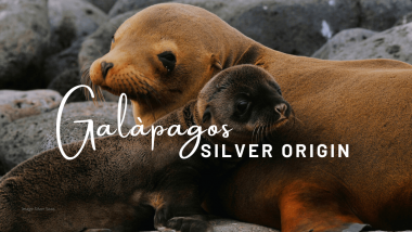 Silver Origin – the First Luxury Expedition Cruise Ship in the Galapagos