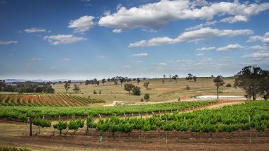 The Hunter Valley, NSW