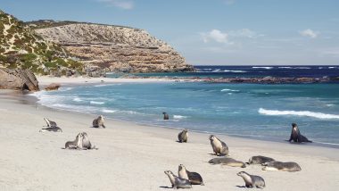 South Australia – Luxury Holidays