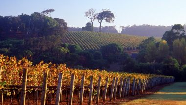 Margaret River, WA