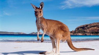 Esperance, WA
